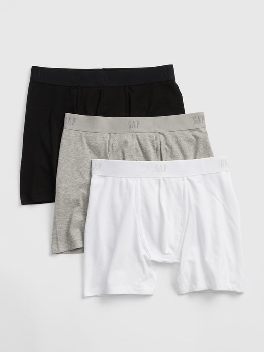 5" Boxer Briefs (3-Pack)