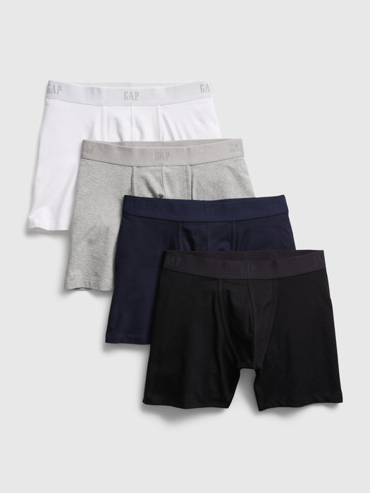 5" Boxer Briefs (4-Pack)