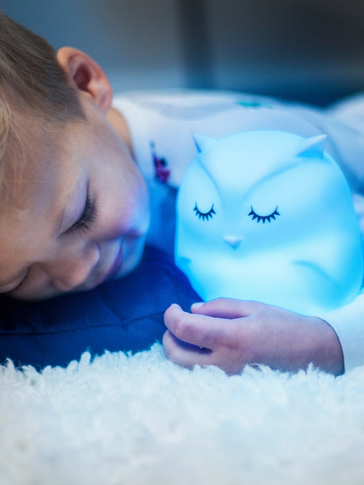 Lumipets Owl Night Light