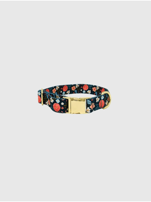 Printed Fabric Dog Collar