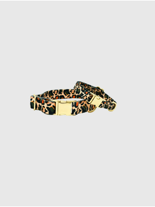 Printed Fabric Dog Collar