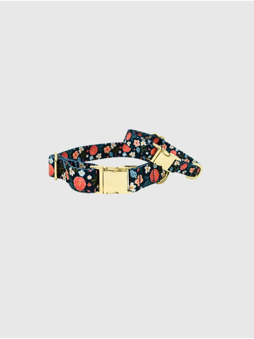 Printed Fabric Dog Collar