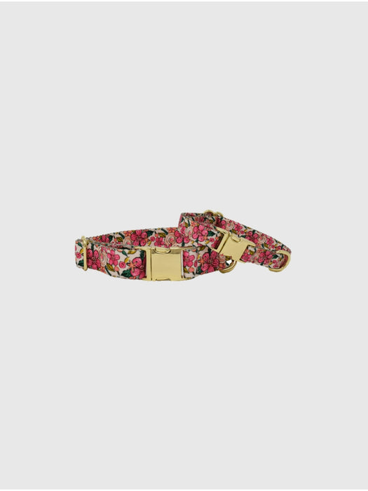 Printed Fabric Dog Collar