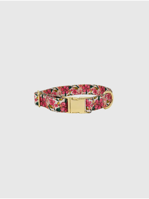 Printed Fabric Dog Collar