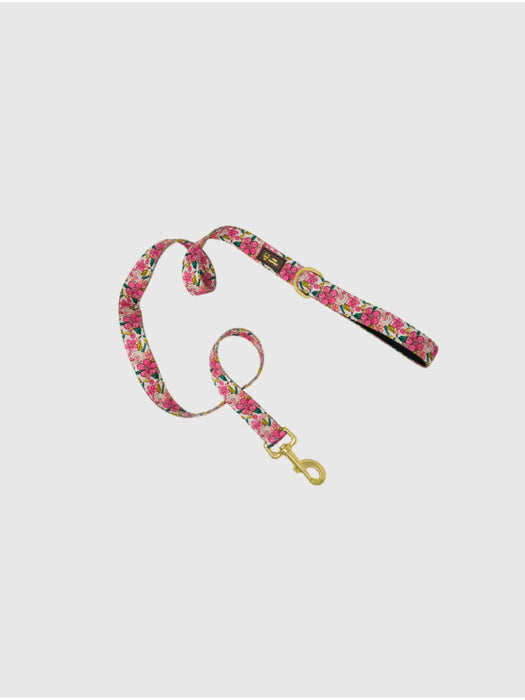 Printed Fabric Dog Leash