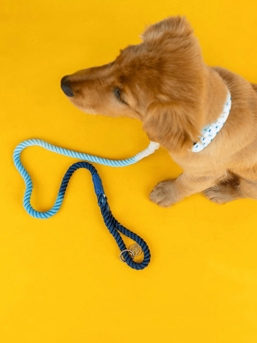 Rope Organic Cotton Ombre Dog Leash