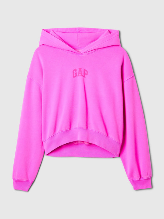 Vintage Soft Arch Logo Cropped Hoodie