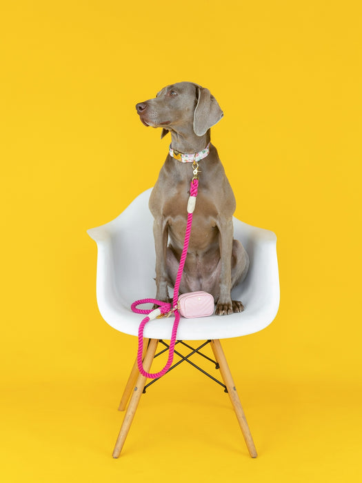 BFF Mini Dog Potty Bag Holder