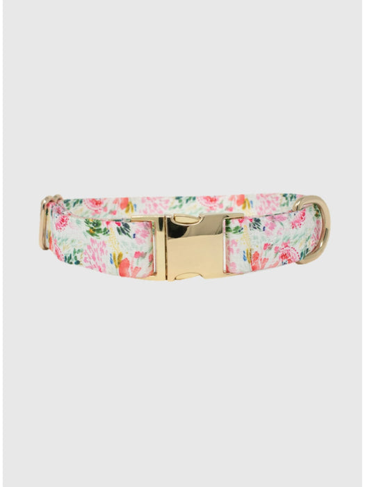 Printed Fabric Dog Collar