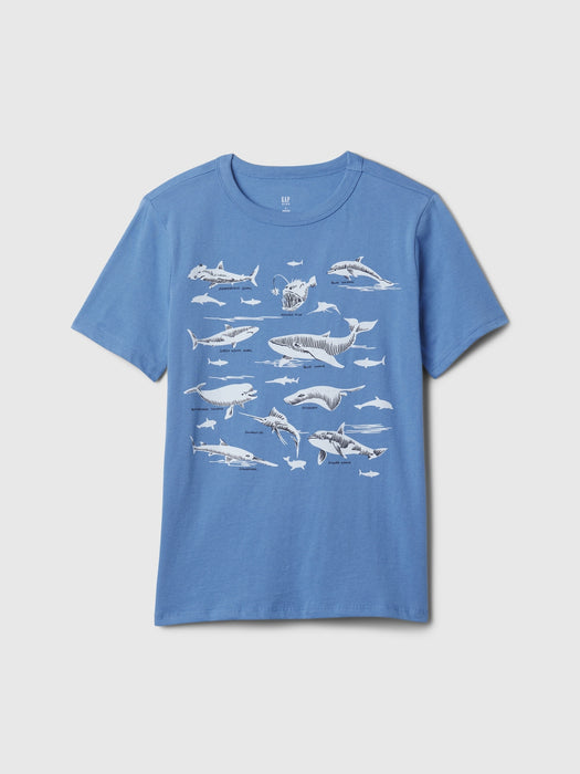 Kids Graphic T-Shirt