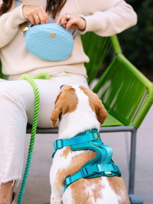 Ultra Comfort Neoprene Dog Harness