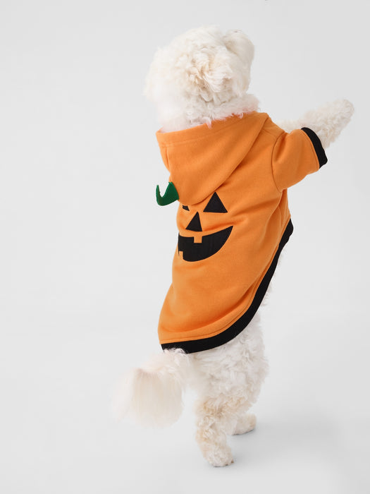 Pet Halloween Costume