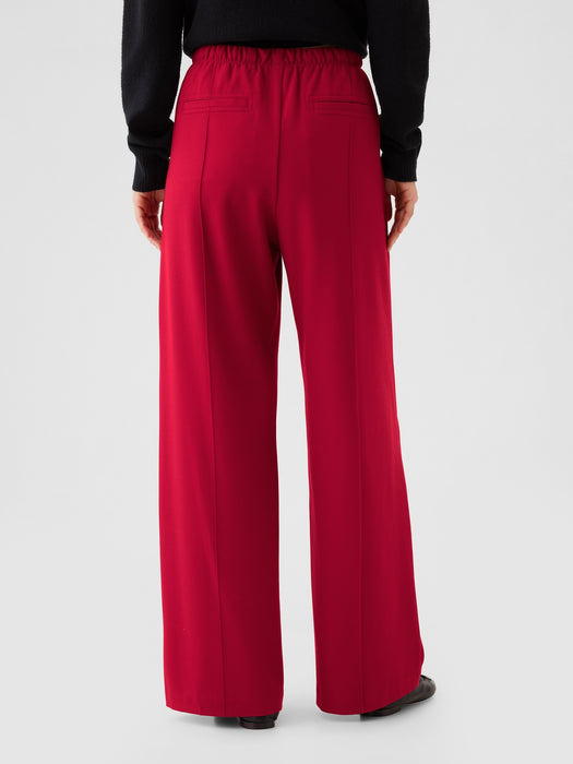 Wide-Leg Seamed Pull-On Pants