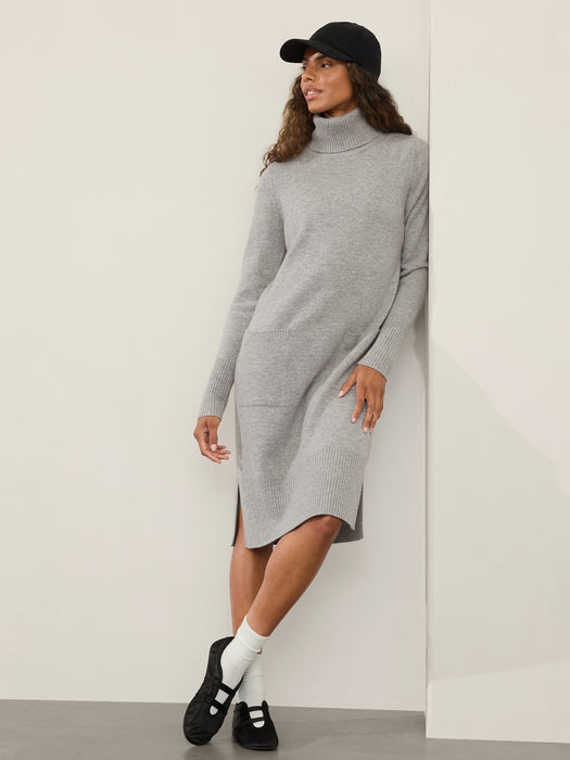 Alpine Turtleneck Sweater Dress