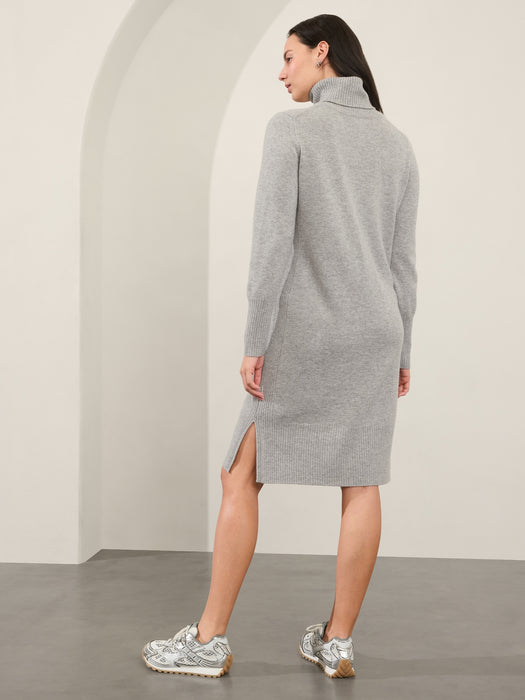 Alpine Turtleneck Sweater Dress