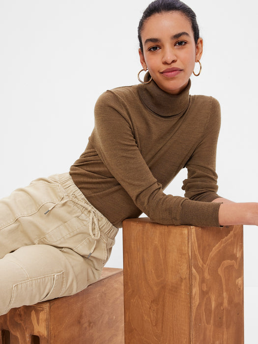 Merino Turtleneck Sweater