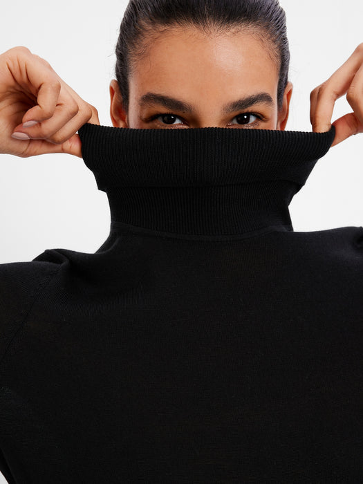 Merino Turtleneck Sweater