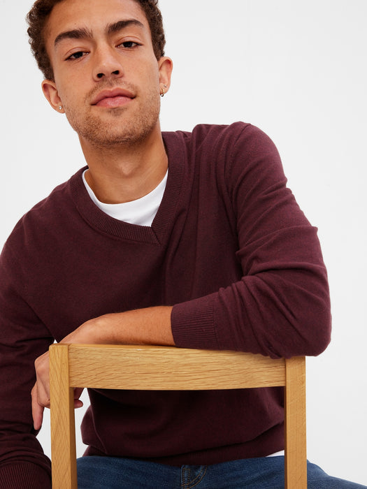 Mainstay V-Neck Sweater - aubergine