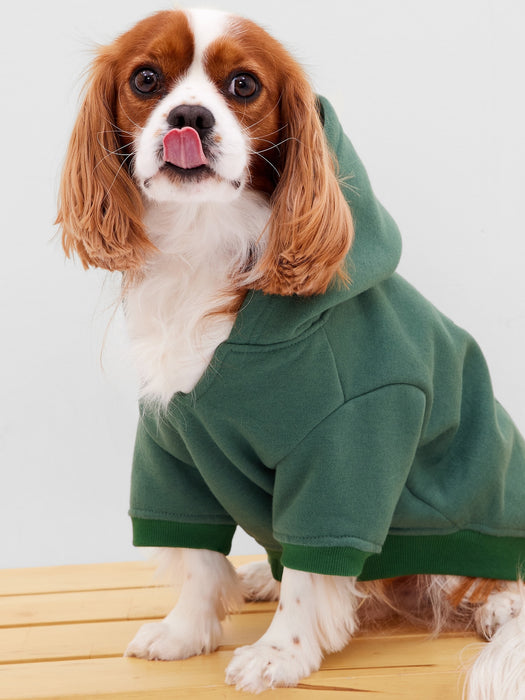 Gap &#215 Sesame Street Graphic Dog Hoodie - june bug green