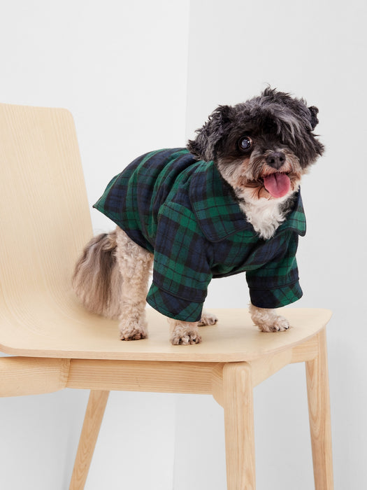 Dog PJs - green & navy blue blackwatch plaid