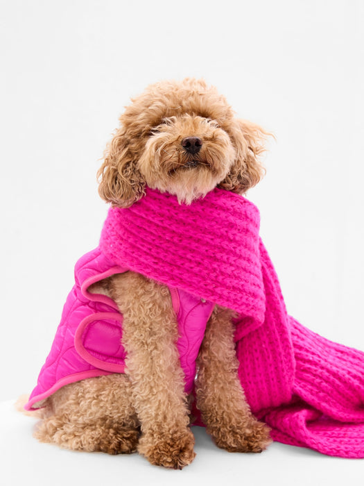 Puffer Dog Jacket - super neon pink