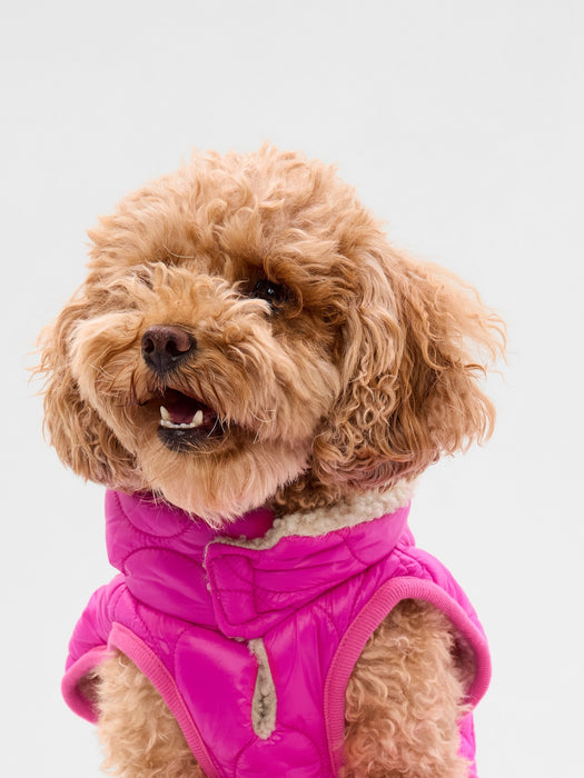 Puffer Dog Jacket - super neon pink