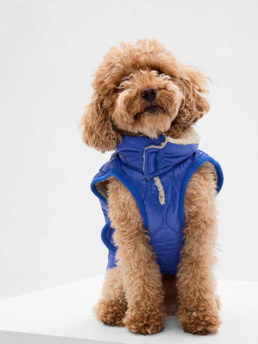 Puffer Dog Jacket - imperial blue